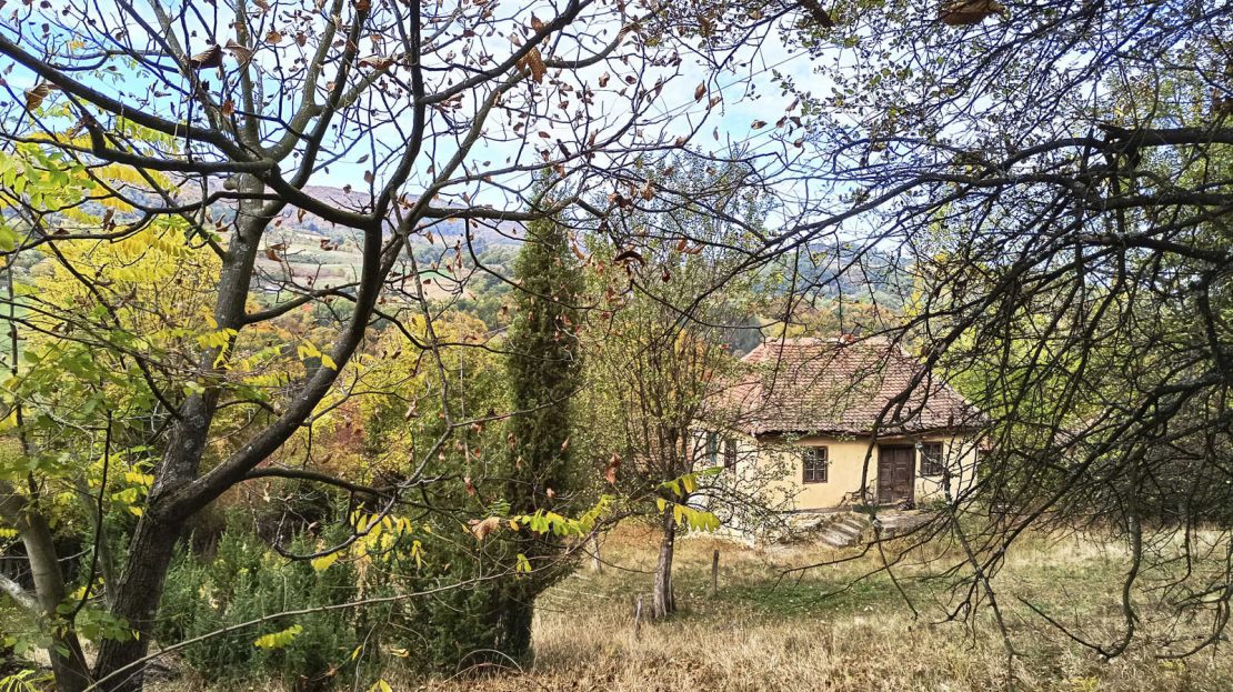 участок со старым домом